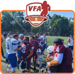 Liga VFA